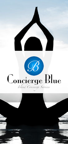 Concierge Blue